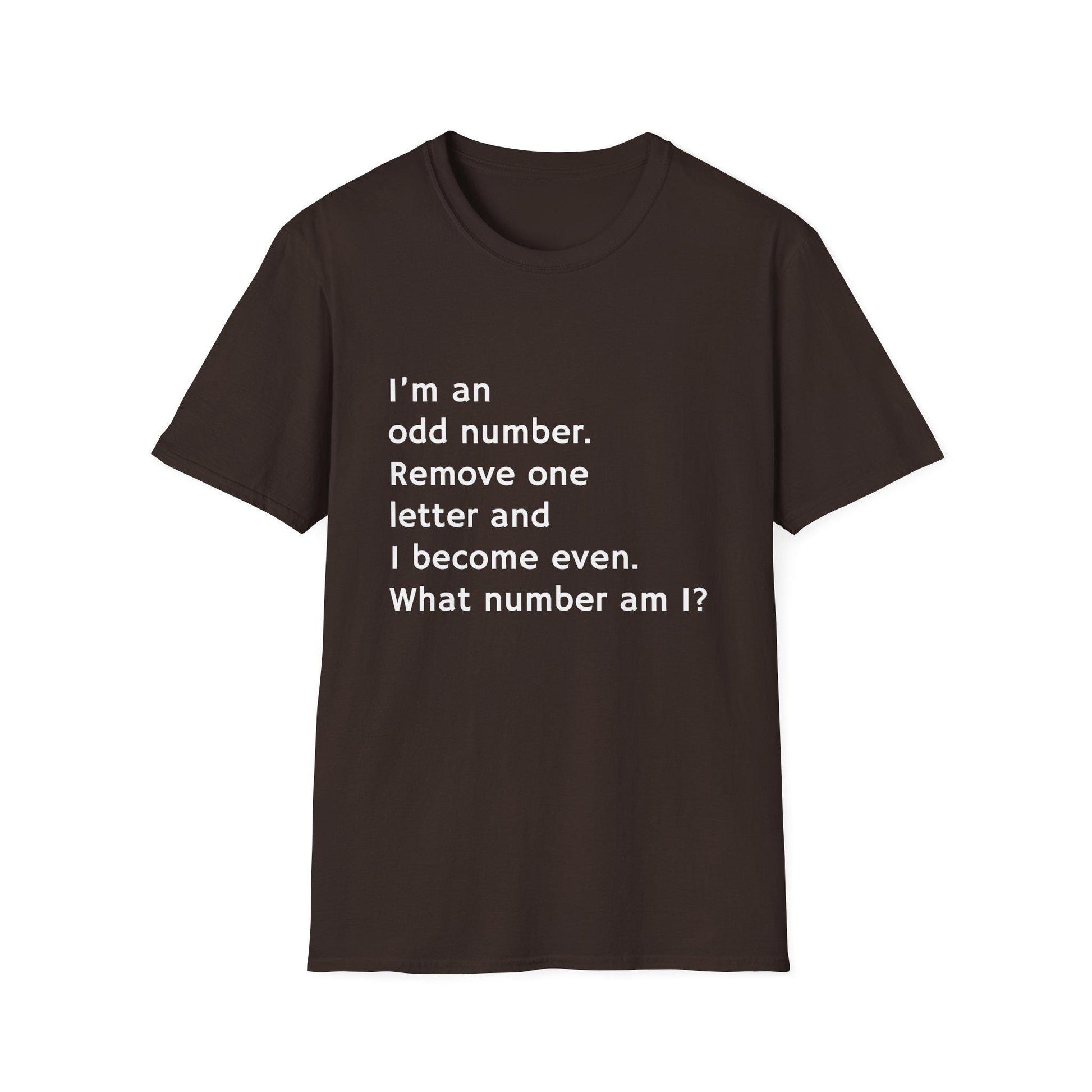 Whimsical Riddle T-Shirt: Fun Math Tee, Puzzle Lover Gift