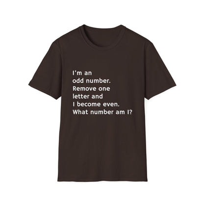 Whimsical Riddle T-Shirt: Fun Math Tee, Puzzle Lover Gift