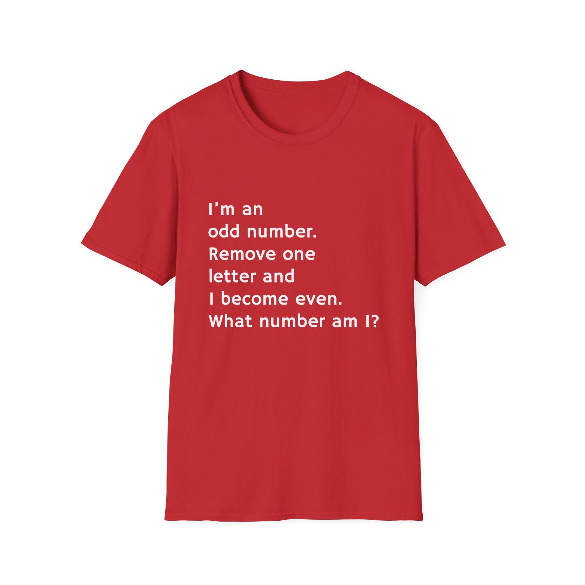 Whimsical Riddle T-Shirt: Fun Math Tee, Puzzle Lover Gift