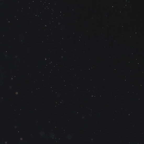 Minimalist Floral Wedding Invitation Template: Black & White Canva Design (Digital Download)