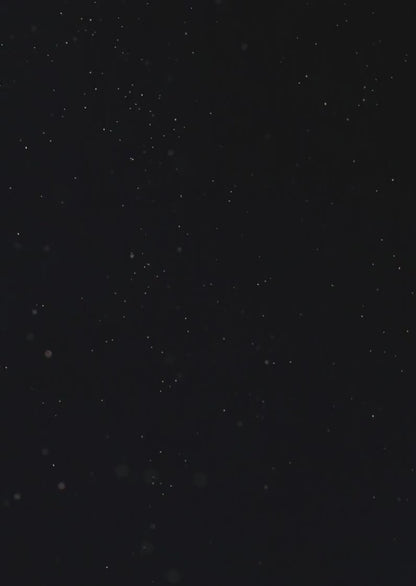 Minimalist Floral Wedding Invitation Template: Black & White Canva Design (Digital Download)