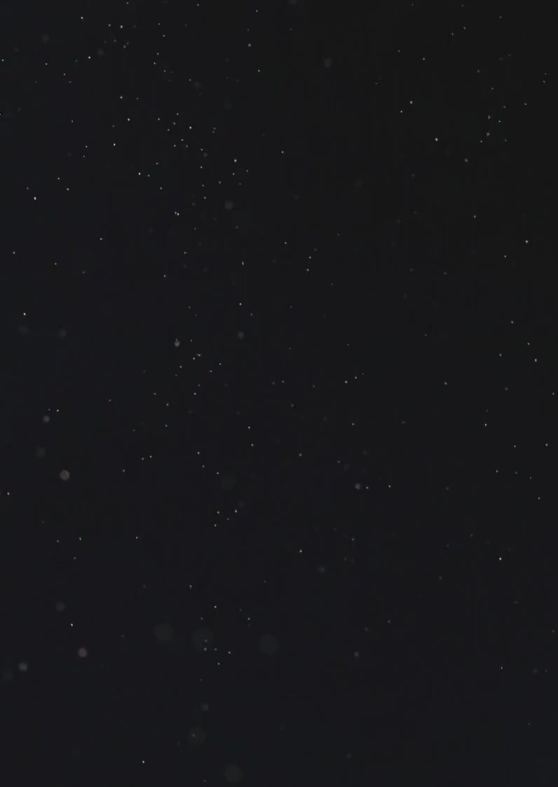 Minimalist Floral Wedding Invitation Template: Black & White Canva Design (Digital Download)